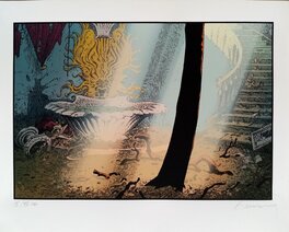 5 5