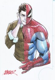 Humberto Ramos - Spiderman/Peter Parker - Original Illustration