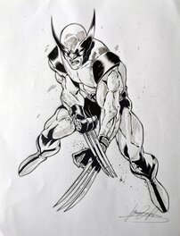 Simone Buonfantino - Wolverine - Original Illustration