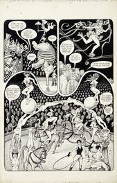Le cirque des femmes