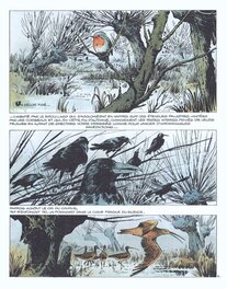 Publication Publication