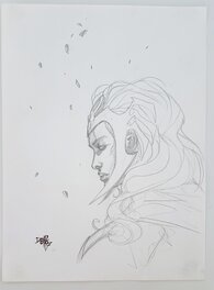 Storm