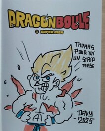 Dragon boule