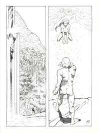 Planche 5 Planche 5