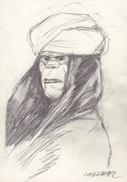 Tanino Liberatore - Portrait RanXerox 04 - Original Illustration