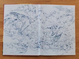 Pages de garde