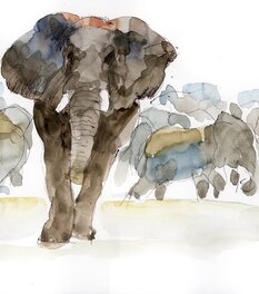 Giancarlo Iliprandi - Voyage en Namibie - Original Illustration