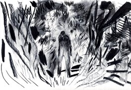 Cyril Pedrosa - Journal d'une Bataille - La Forêt de Feu - Illustration originale