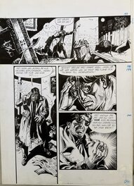 César Spadari - The Secret Singh Leader- The Phantom - Comic Strip