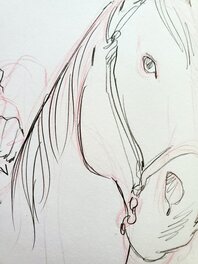 Détail