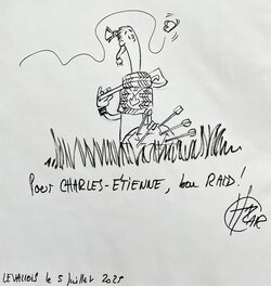 Vikings dans la brume