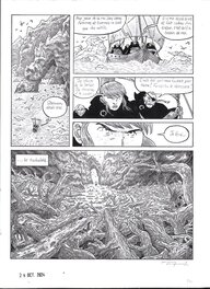 Planche 240 Planche 240