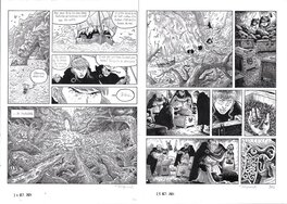 Planche 240 et 241 de « La Terre Verte ».