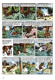 Pagina 2