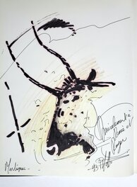 LES SECRETS DES BOIS DE LASCAUX