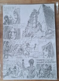 Les guerrières de Troy