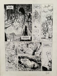 Vincent Mallié - Planche La Quête De L’Oiseau Du Temps - Planche originale