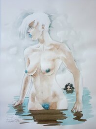 FOURMI BLANCHE couleur directe