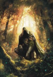 Couverture: Obrigan et le sermet de Druides