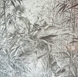 Lidwine - LA QUÊTE DE L'OISEAU DU TEMPS - Illustration originale