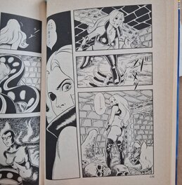 Publication 1