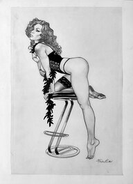 Franco Saudelli - La Dama Provocante - Illustration originale
