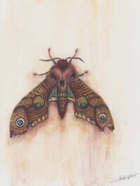 Iris Compiet - Iris Compiet | 20134 | Heksenwaan - Original art