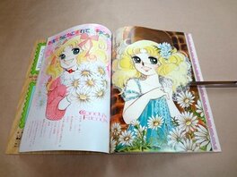 Illustration publiée p25