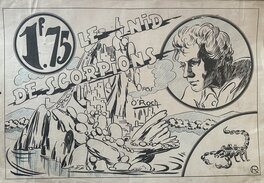 Aude Roche - Le nid de scorpions 1942 - Original Cover
