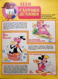 Allo Castors Juniors Allo Castors Juniors
