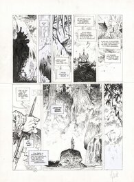 Vincent Mallié - Avant la Quête de l'Oiseau du Temps - Tome 3 - Malliè - La voie du Rige - Planche originale