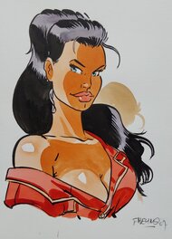 Félix Meynet - Fanfoué : Meurtres en Abondance - Original Illustration