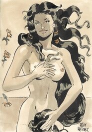 Félix Meynet - La naisance de Venus - Original Illustration