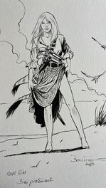 Commission de Franck Bonnet - Ann Bonny