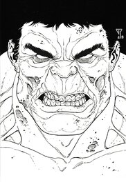 Francis Portela - Zombie Hulk - Original Illustration