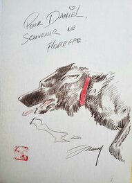 LES BAROUDEURS SANS FRONTIERES   T1 A L'OUEST DES LAGUNES