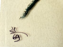 Numéroté 21/69 Numéroté 21/69