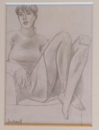 André Juillard - André juillard Louise Le cahier bleu - Œuvre originale