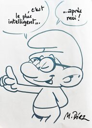 Les Schtroumpfs (tome 40)