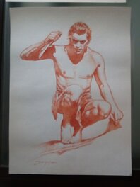 Manuel Sanjulián - Tarzan / sanjulian - Original Illustration