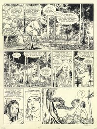 Patrice Pellerin - Album "L'épervier" - Planche 12 du tome 06 - Planche originale