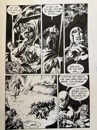 César Spadari - The Phantom “The Guardians of The Temple” - Planche originale