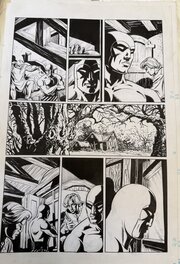 César Spadari - The Phantom in a cottage - Comic Strip