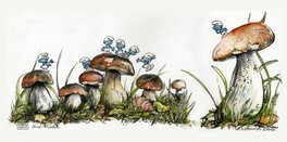 Les Schtroumpfs et les champignons