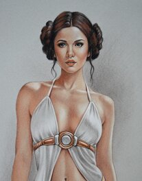 Princesse Leia Princesse Leia