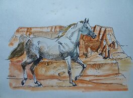Michel Faure - Cheval Sauvage - Illustration originale