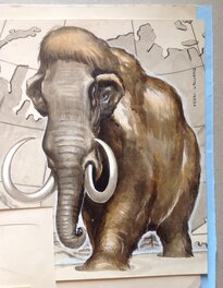 Detail du Mammouth Detail du Mammouth