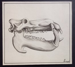 Fergal - Fergal Studio Atelier Chott 1 illustration Crane Dinosaure ...Fantax Ou RANCHO ,superbe Dessin planche originale Lavis & Gouache - Original Illustration