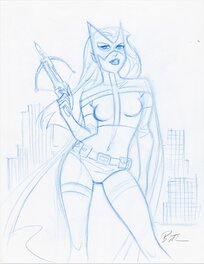 Bruce Timm - Huntress - Œuvre originale