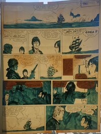 Coloration bleue au dos Coloration bleue au dos